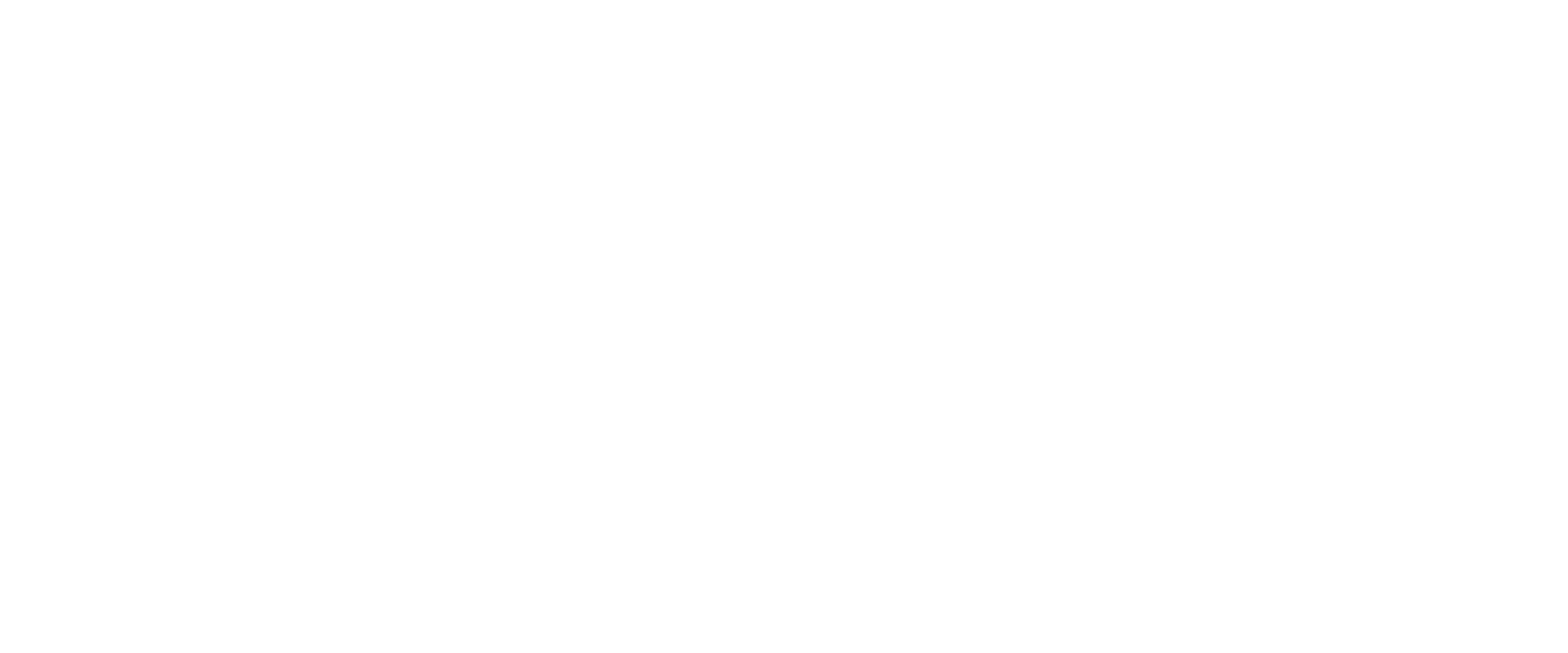 Equinox Fuel System